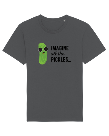 IMAGINE All The Pickels - Parodie Anthracite