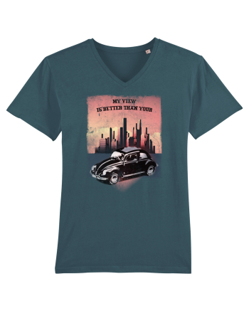 Volkswagen Beetle Stargazer