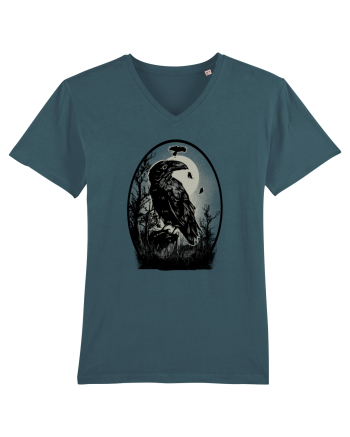 Raven Stargazer