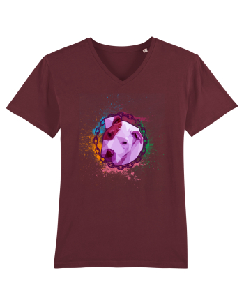 Pitbull Paint Burgundy