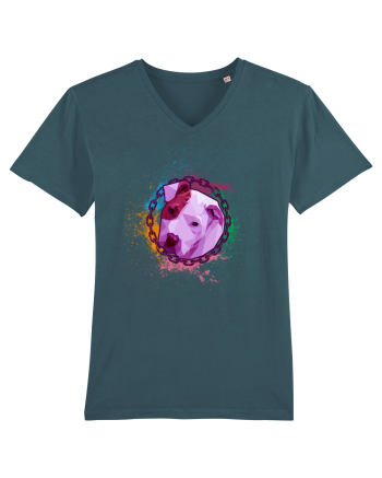Pitbull Paint Stargazer