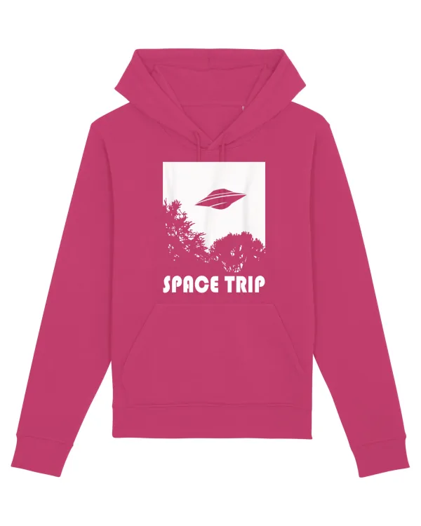 UFO Space Trip Raspberry