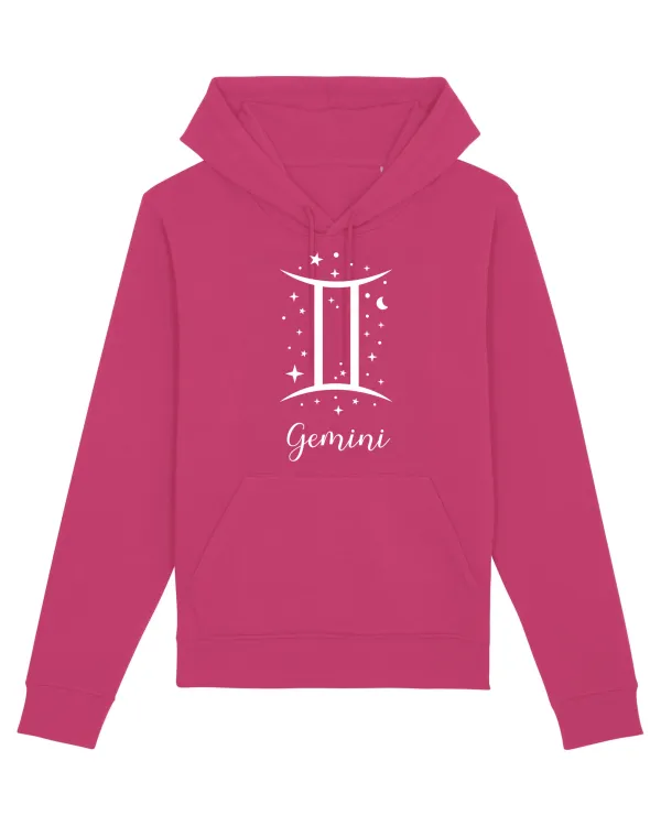 Gemini Gemeni Raspberry