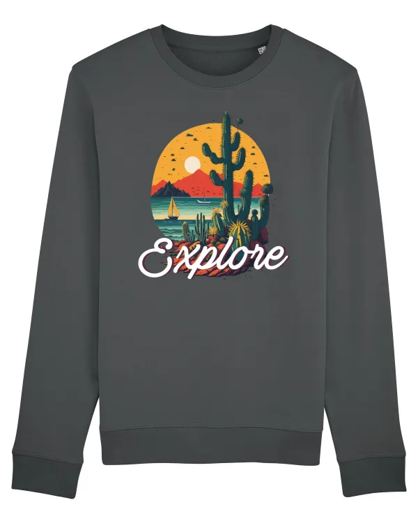 Explore - plaja cu cactusi si apus de soare Anthracite