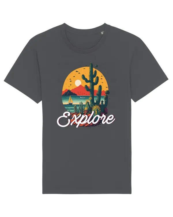 Explore - plaja cu cactusi si apus de soare Anthracite