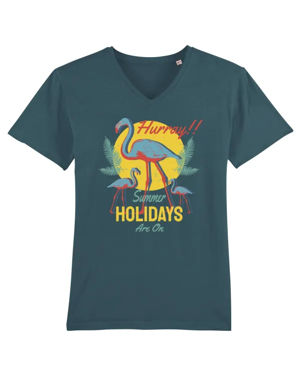 Hurray! Summer Holidays are On Stargazer