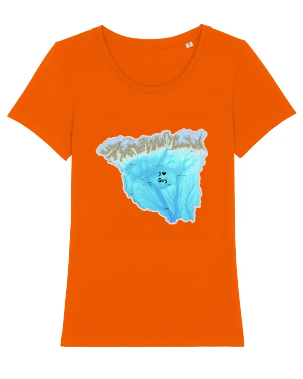 Gorj County Map Bright Orange