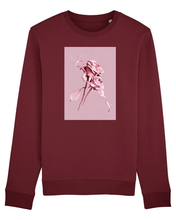 Trandafiri Burgundy
