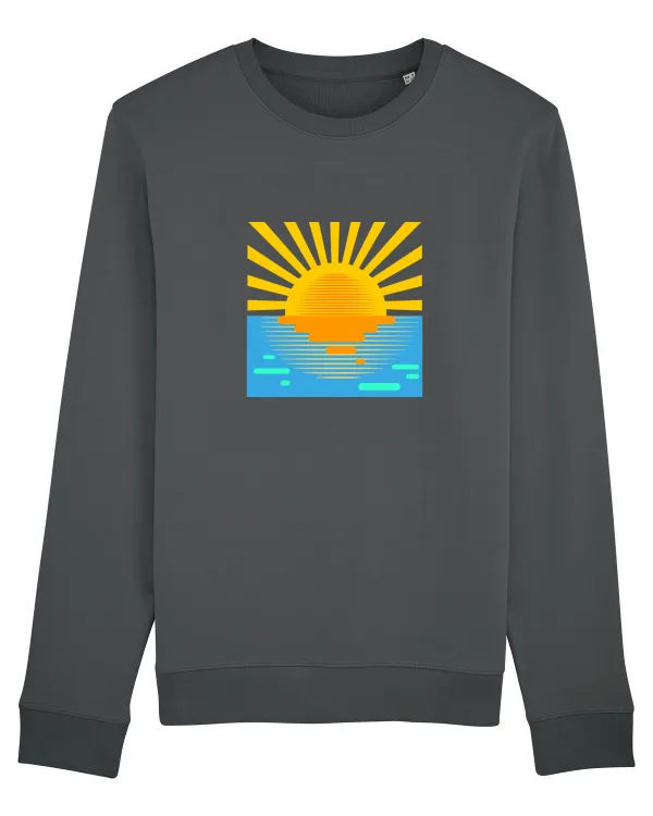 Apus de soare Anthracite