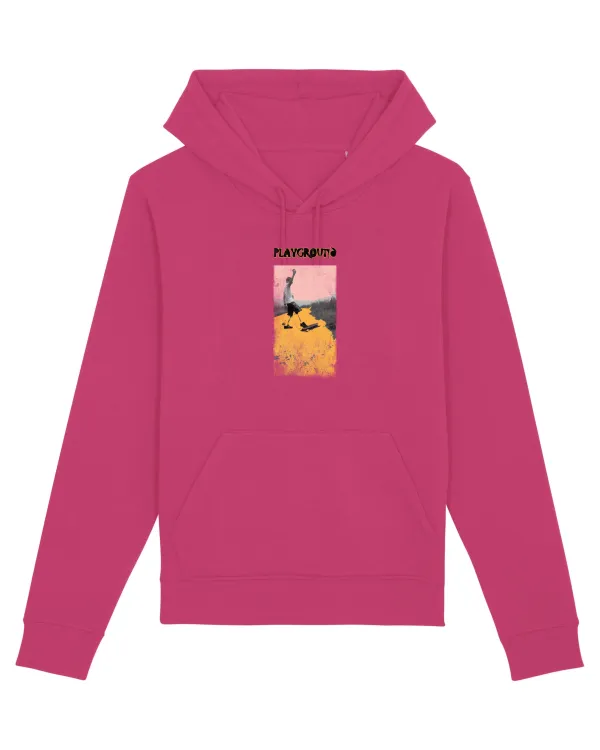 skateboard Raspberry