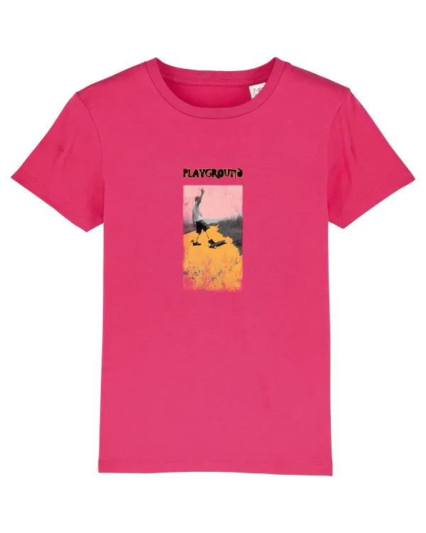 skateboard Raspberry