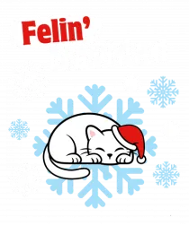 Funny Christmas Cat