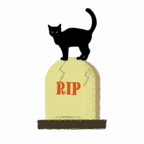 Pisică neagră în cimitir