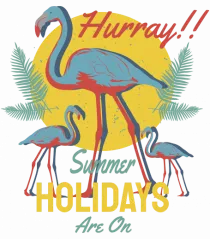 Hurray! Summer Holidays are On