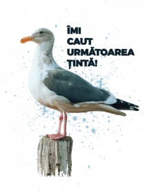 Pescarus