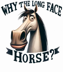pentru prietenii animalelor - Why the long face, horse